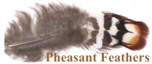 This is a body feather from the Reeves Pheasant rooster. We have them in our Feather Special packs.