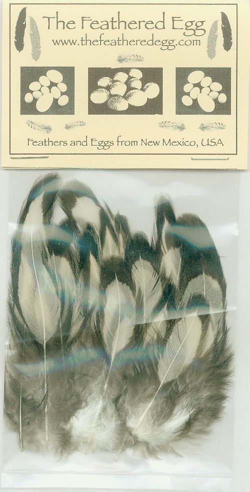 Silver-Laced Polish Feather Bag