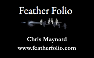 Feather Art Natural Feathers