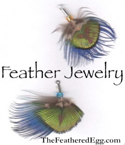 the feathered egg feather jewelry