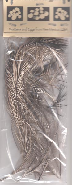 emu feathers