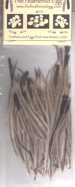 emu feathers